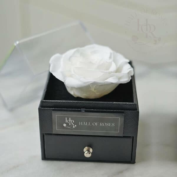 Pandora Box - Image 9