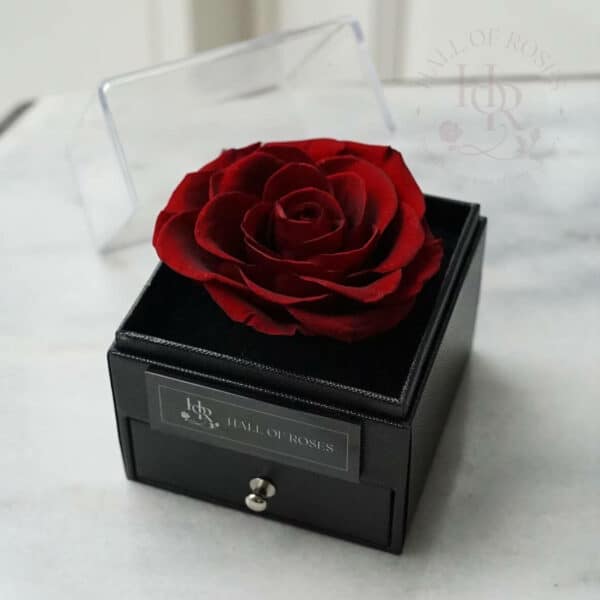 Pandora Box - Image 7