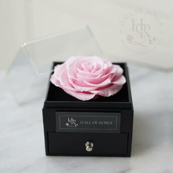 Pandora Box - Image 5