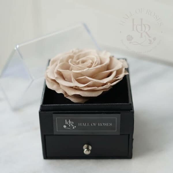 Pandora Box - Image 4