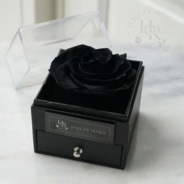 Pandora Box - Image 3
