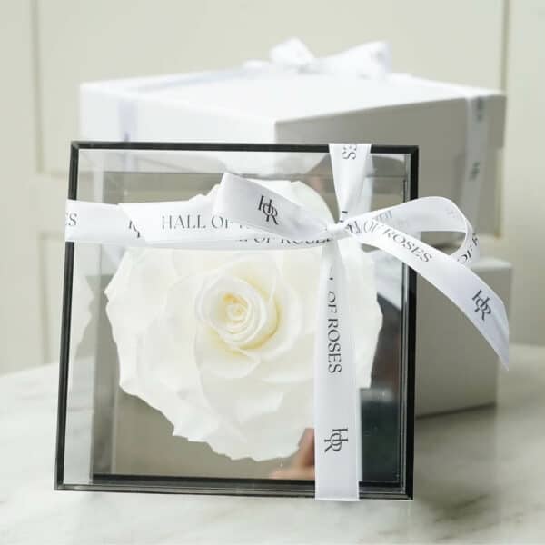 Crystal Box - Image 2