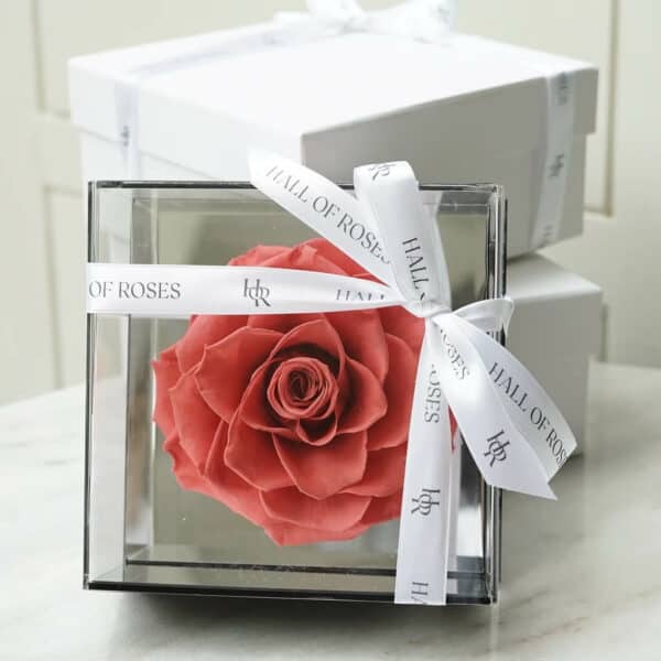 Crystal Box - Image 10