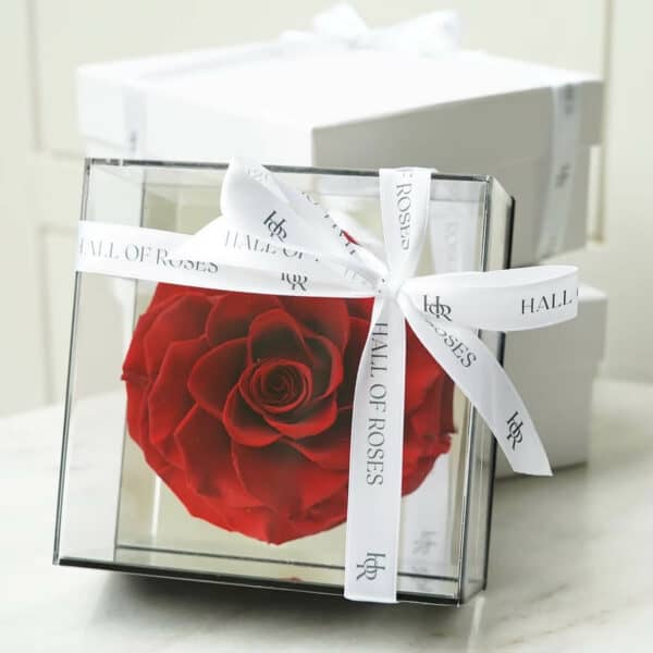 Crystal Box