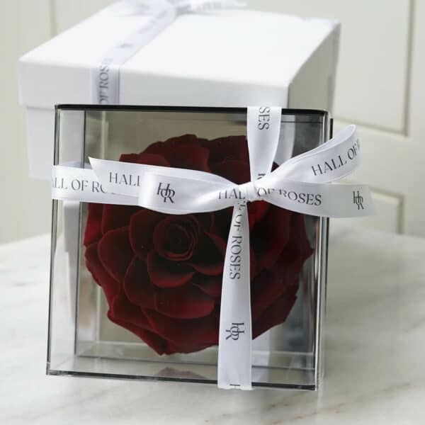 Crystal Box - Image 8