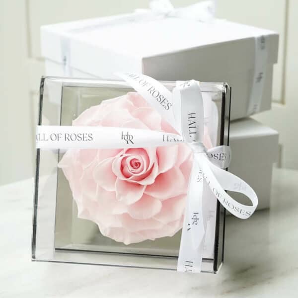 Crystal Box - Image 7