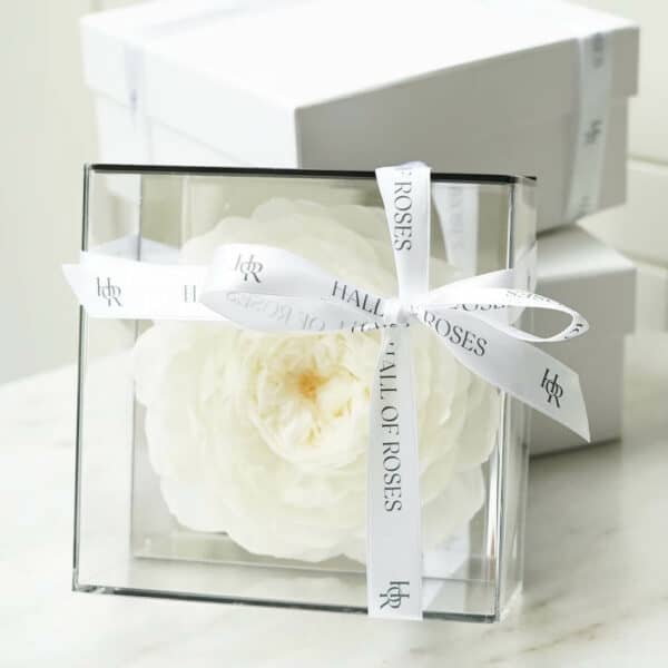 Crystal Box - Image 6
