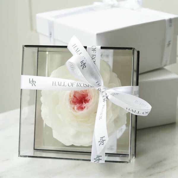 Crystal Box - Image 5
