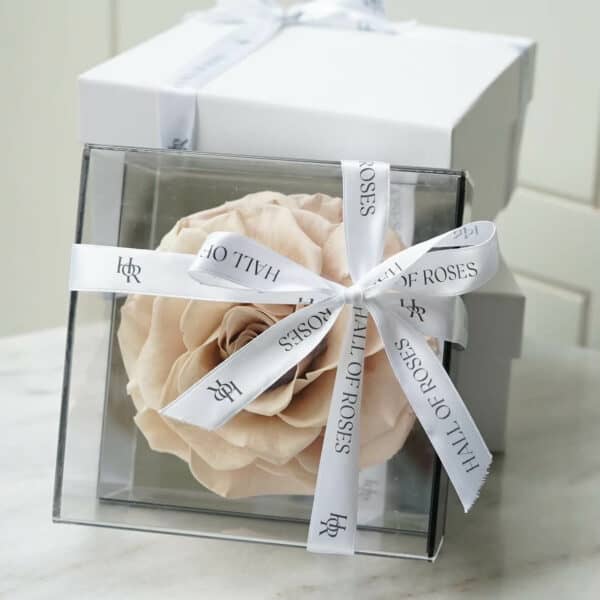 Crystal Box - Image 4