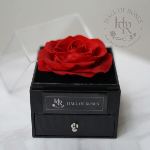 Pandora Box - Image 2