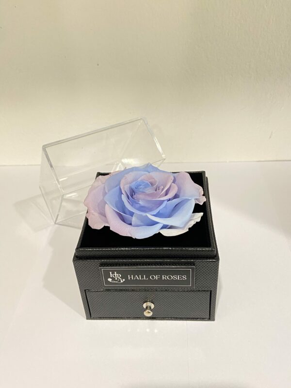 Pandora Box - Image 10
