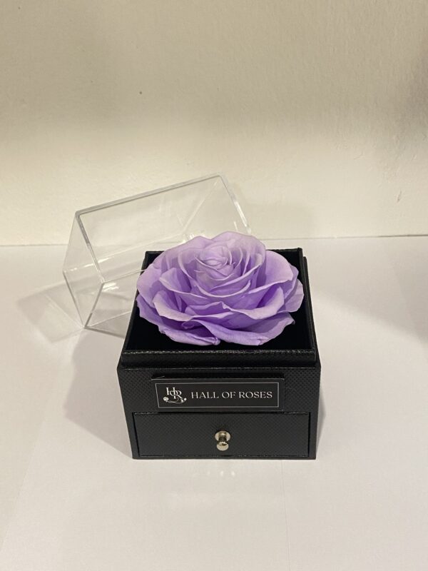 Pandora Box - Image 11